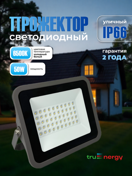 Изображение товара Прожектор Truenergy 13115