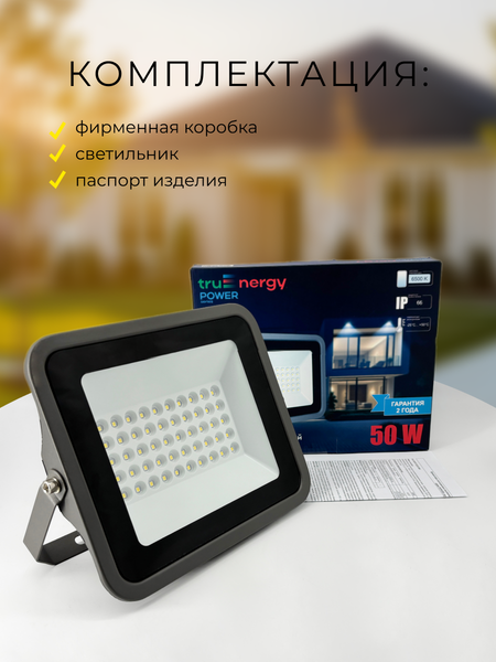 Изображение товара Прожектор Truenergy 13115