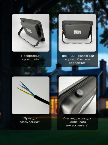 Изображение товара Прожектор Truenergy 13116