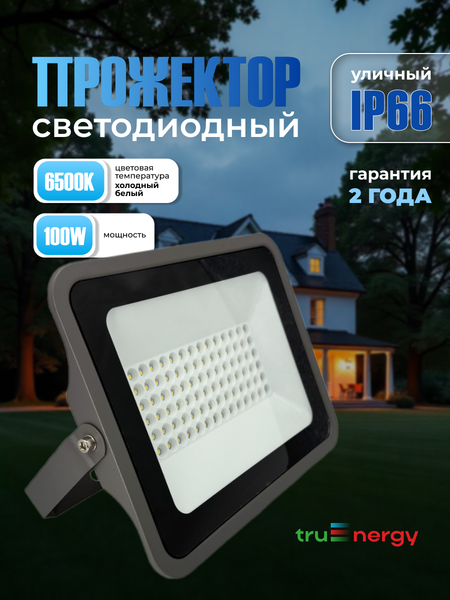 Изображение товара Прожектор Truenergy 13116