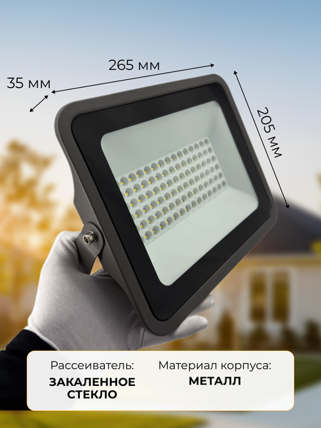 Изображение товара Прожектор Truenergy 13116
