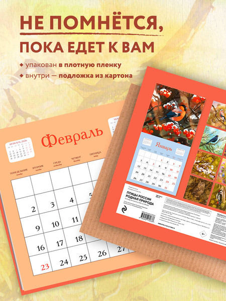 Изображение товара Календарь настенный Эксмо Птицы России. Родная природа 2026 год (9785042170638)