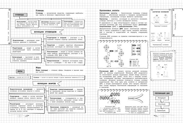 Изображение товара Учебное пособие Эксмо Биология, мягкая обложка (Мазур Оксана)