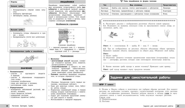 Изображение товара Учебное пособие Эксмо Биология, мягкая обложка (Лаптева Ольга, Мазур Оксана)