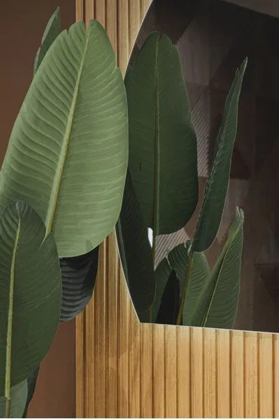 Изображение товара Зеркало Abber Teil AG6504SR