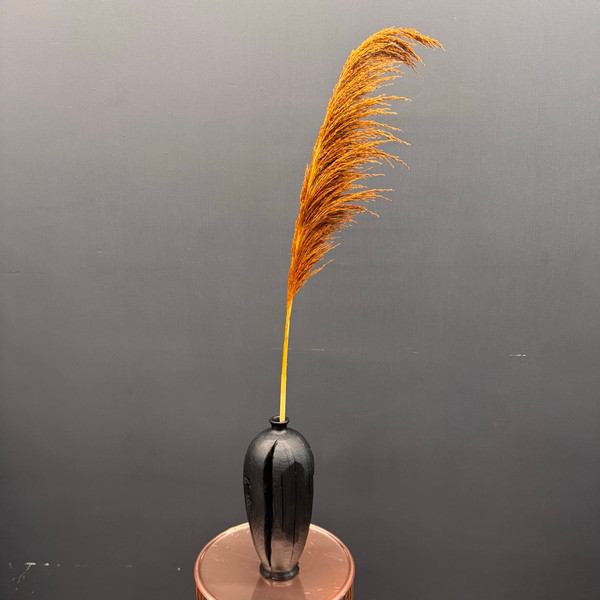 Изображение товара Сухоцвет Sofi de Marko Пампасная трава 130-140см СХЦ-0002-140коф (кофейный)