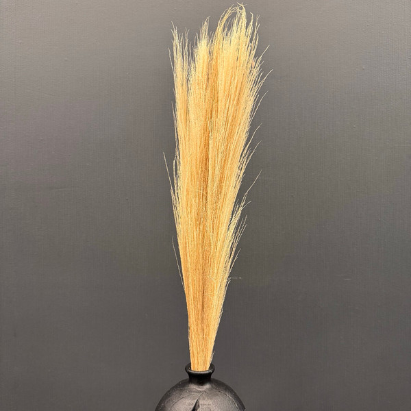 Изображение товара Букет из сухоцветов Sofi de Marko Сухоцвет 60-100см СХЦ-0015-100 (кремовый)