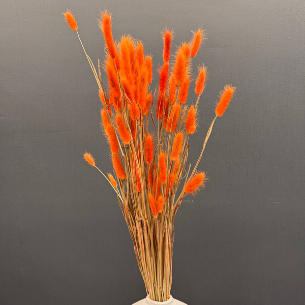 Изображение товара Букет из сухоцветов Sofi de Marko Сухоцвет 75см СХЦ-0004-75 (оранжевый)