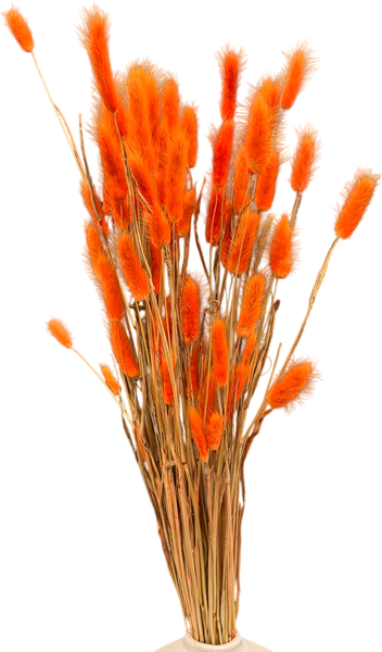 Изображение товара Букет из сухоцветов Sofi de Marko Сухоцвет 75см СХЦ-0004-75 (оранжевый)
