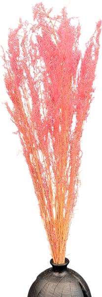 Изображение товара Букет из сухоцветов Sofi de Marko Сухоцвет 75-85см СХЦ-0021-85 (светло-розовый)