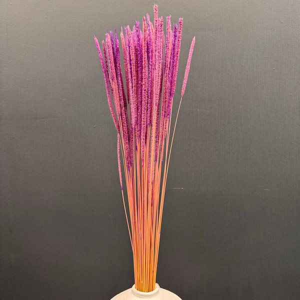Изображение товара Букет из сухоцветов Sofi de Marko Сухоцвет 75-85см СХЦ-0022-85фиол (светло-фиолетовый)