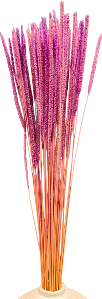 Изображение товара Букет из сухоцветов Sofi de Marko Сухоцвет 75-85см СХЦ-0022-85фиол (светло-фиолетовый)