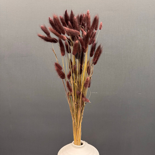 Изображение товара Букет из сухоцветов Sofi de Marko Сухоцвет 75см СХЦ-0004-75тф (темно-фиолетовый)