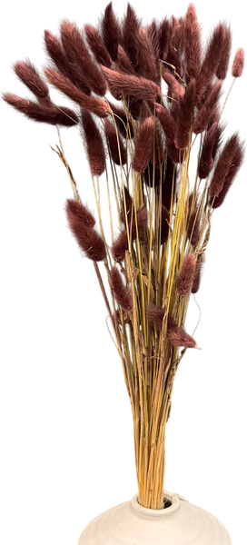 Изображение товара Букет из сухоцветов Sofi de Marko Сухоцвет 75см СХЦ-0004-75тф (темно-фиолетовый)