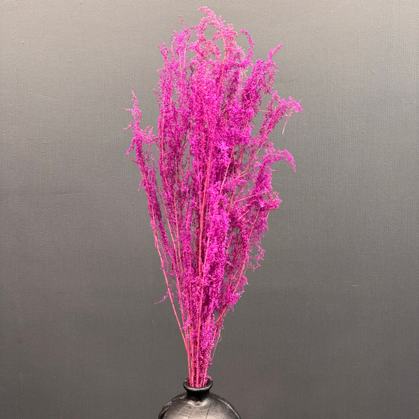 Изображение товара Букет из сухоцветов Sofi de Marko Сухоцвет 75-85см СХЦ-0021-85ф (фуксия)