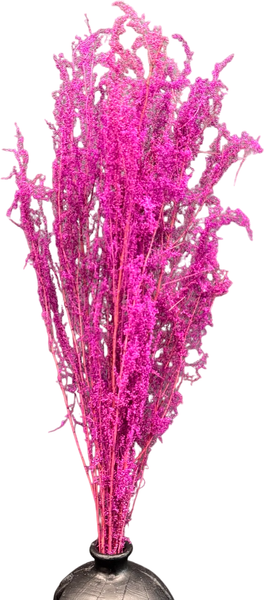 Изображение товара Букет из сухоцветов Sofi de Marko Сухоцвет 75-85см СХЦ-0021-85ф (фуксия)