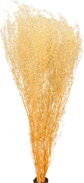 Изображение товара Букет из сухоцветов Sofi de Marko Сухоцвет-ветка 60-75см СХЦ-0049-75 (бежевый)