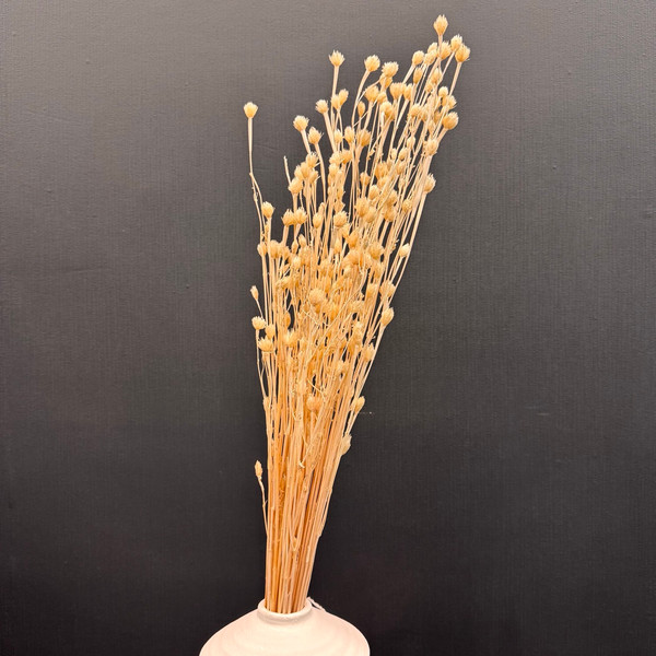 Изображение товара Букет из сухоцветов Sofi de Marko Сухоцвет-ветка 70-80см СХЦ-0023-80 (кремовый)