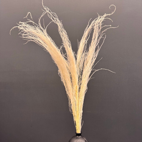 Изображение товара Букет из сухоцветов Sofi de Marko Сухоцвет-ветка 90-100см СХЦ-0048-100крем (кремовый)