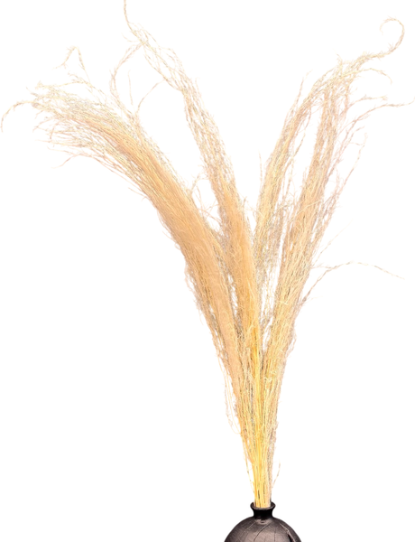 Изображение товара Букет из сухоцветов Sofi de Marko Сухоцвет-ветка 90-100см СХЦ-0048-100крем (кремовый)
