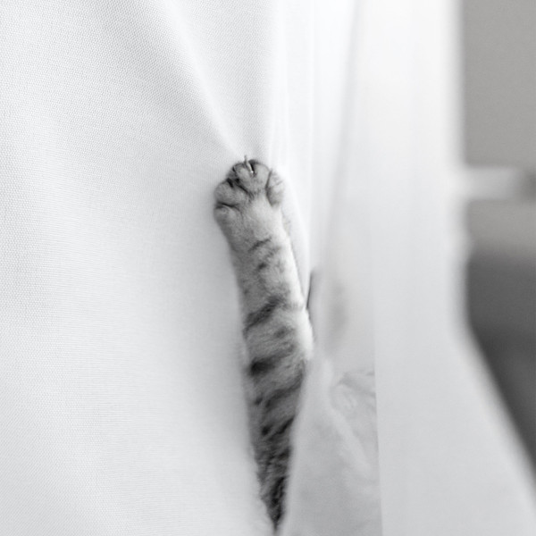 Изображение товара Комплект штор Волшебная ночь Рогожка 165x270см / 926877 (2шт, снег)