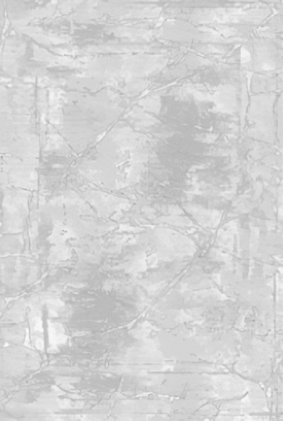 Изображение товара Ковер Safyun Eva / LZ191-LIGHT-GREY (1.4x2)