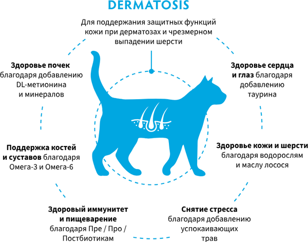 Изображение товара Сухой ветеринарный корм для кошек Grandorf Vet Cat Dermatosis (2кг)