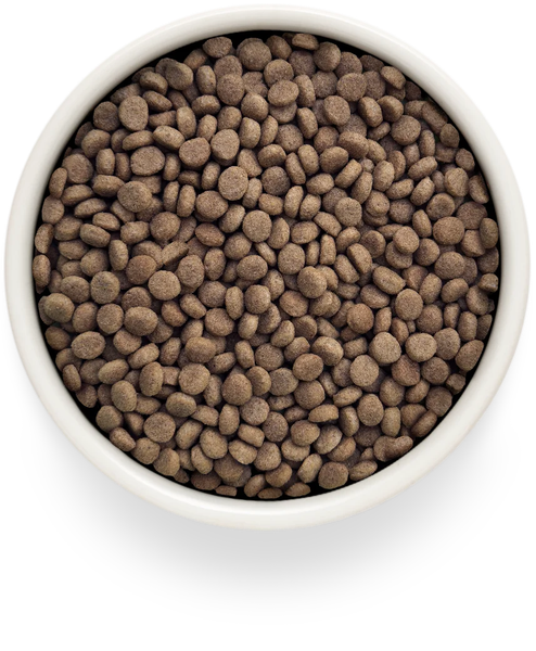 Изображение товара Сухой ветеринарный корм для кошек Grandorf Vet Cat Dermatosis (2кг)