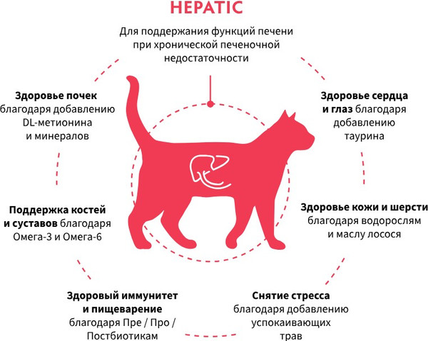 Изображение товара Сухой ветеринарный корм для кошек Grandorf Vet Cat Hepatic (400г)
