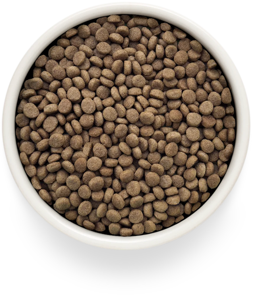 Изображение товара Сухой корм для кошек Grandorf Vet Cat Gastrointestinal. Moderate Calorie (400г)