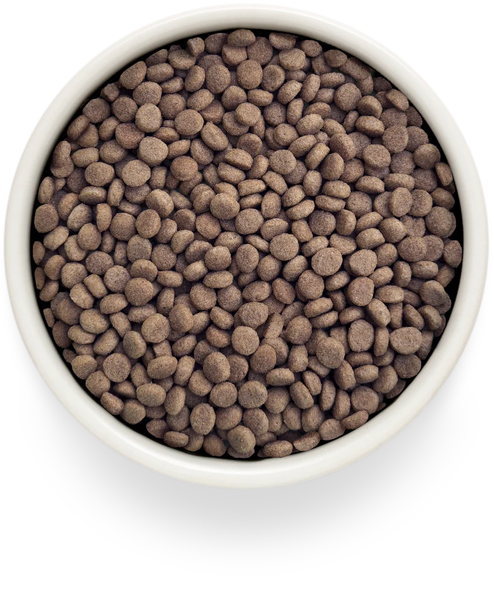 Изображение товара Сухой ветеринарный корм для кошек Grandorf Vet Cat Hypoallergenic (2кг)