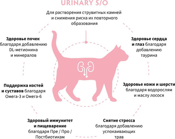 Изображение товара Сухой ветеринарный корм для кошек Grandorf Vet Cat Urinary S/O (2кг)