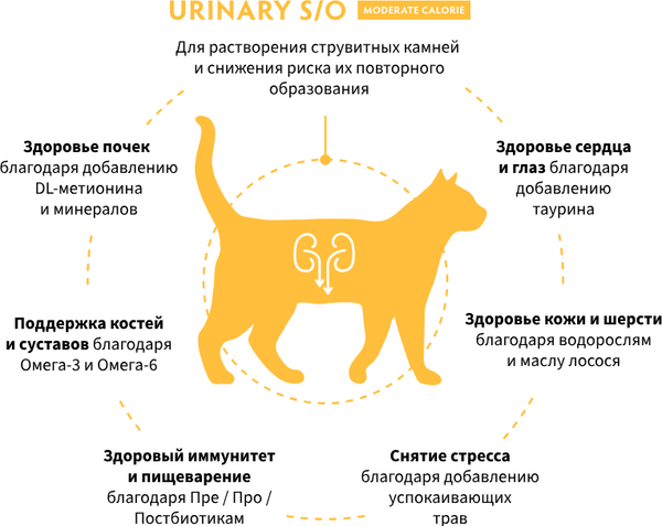 Изображение товара Сухой ветеринарный корм для кошек Grandorf Vet Cat Urinary S/O. Moderate Calorie (400г)