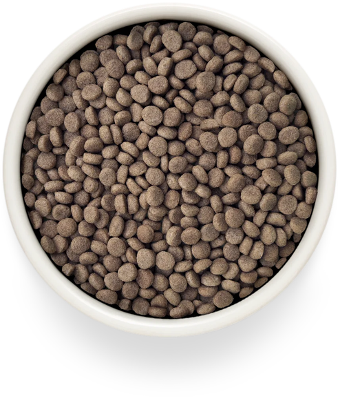 Изображение товара Сухой ветеринарный корм для кошек Grandorf Vet Cat Urinary S/O. Moderate Calorie (400г)