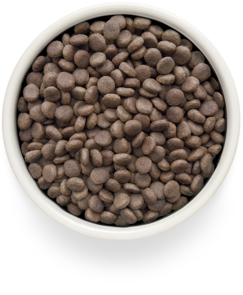 Изображение товара Сухой ветеринарный корм для собак Grandorf Vet Dog Renal (3кг)