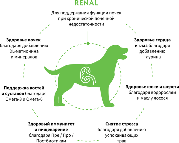 Изображение товара Сухой ветеринарный корм для собак Grandorf Vet Dog Renal (3кг)