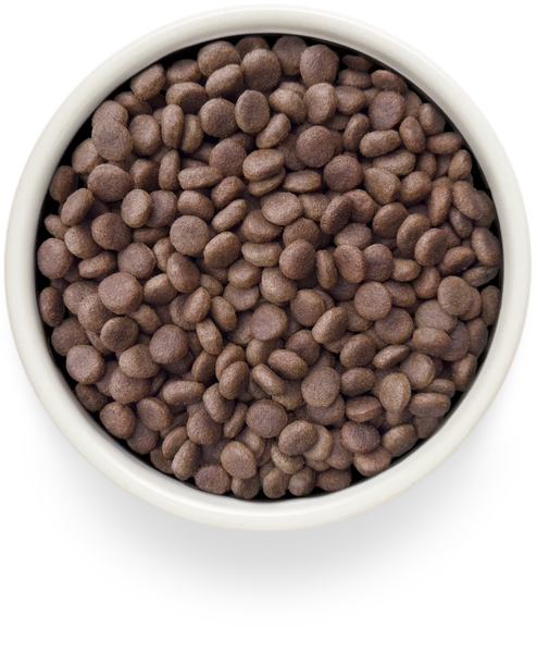 Изображение товара Сухой ветеринарный корм для собак Grandorf Vet Dog Hypoallergenic (1кг)