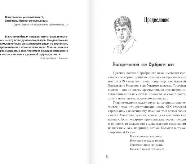 Изображение товара Книга АСТ Есенин (Шляхов А. 9785171782597)