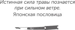 Изображение товара Книга АСТ Японцы, мягкая обложка (Хасэгава Мамору)