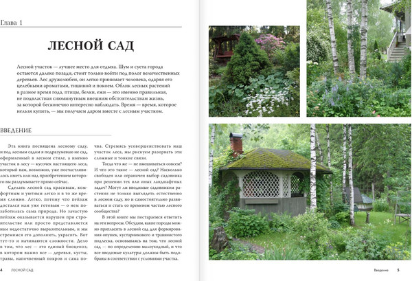 Изображение товара Книга АСТ Лесной сад, твердая обложка (Воронина Светлана)