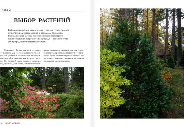 Изображение товара Книга АСТ Лесной сад, твердая обложка (Воронина Светлана)