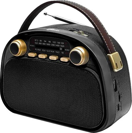 Изображение товара Радиоприемник Ritmix RPR-040 (черный)