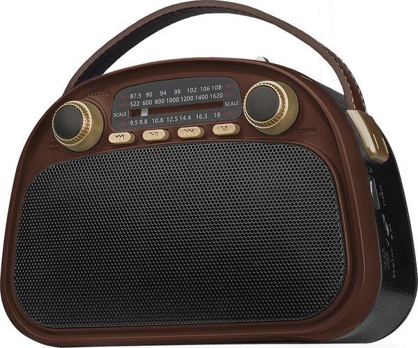 Изображение товара Радиоприемник Ritmix RPR-040 (шоколадный)