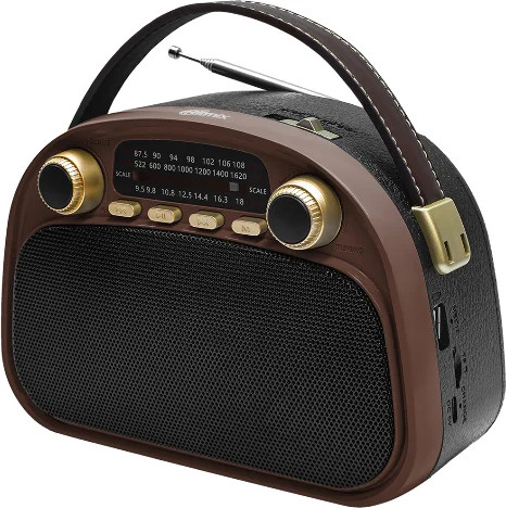 Изображение товара Радиоприемник Ritmix RPR-040 (шоколадный)