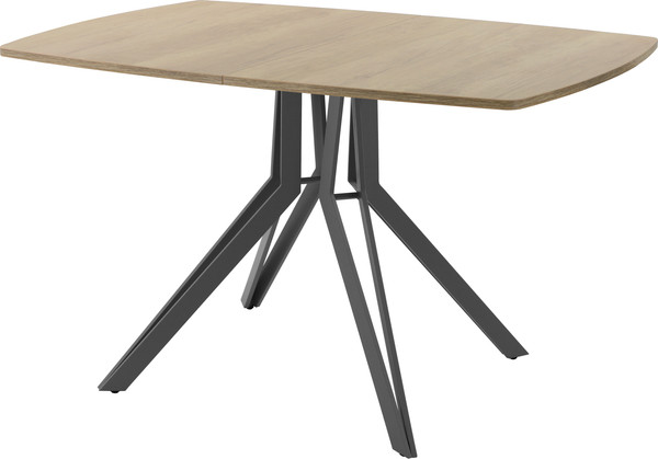 Изображение товара Обеденный стол AMC Elite / Е21(1200) D6 (графит/дуб небраска натур)