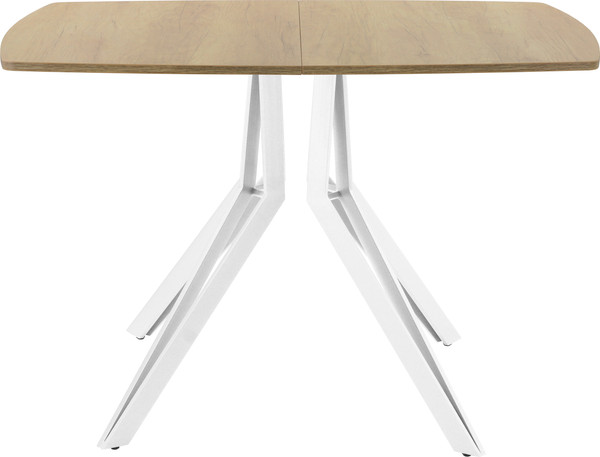Изображение товара Обеденный стол AMC Elite / Е21(1200) D6 (белый/дуб небраска натур)