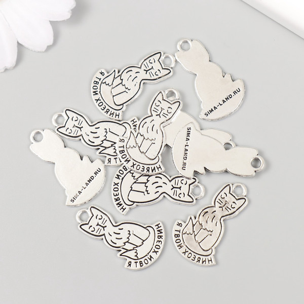 Изображение товара Набор подвесок декоративных Арт Узор Котик: Я твой хозяин / 10883612