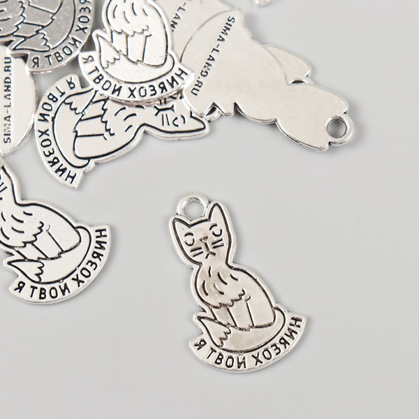 Изображение товара Набор подвесок декоративных Арт Узор Котик: Я твой хозяин / 10883612