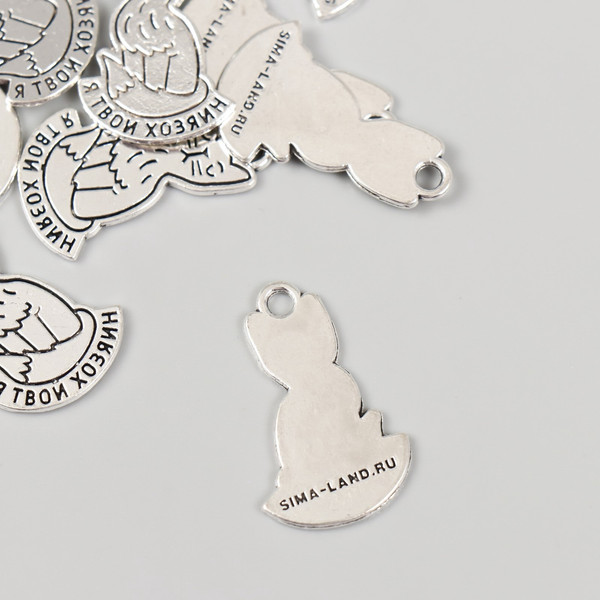 Изображение товара Набор подвесок декоративных Арт Узор Котик: Я твой хозяин / 10883612