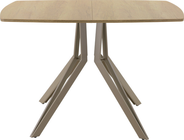 Изображение товара Обеденный стол AMC Elite / Е21(1200) D6 (капучино/дуб небраска натур)